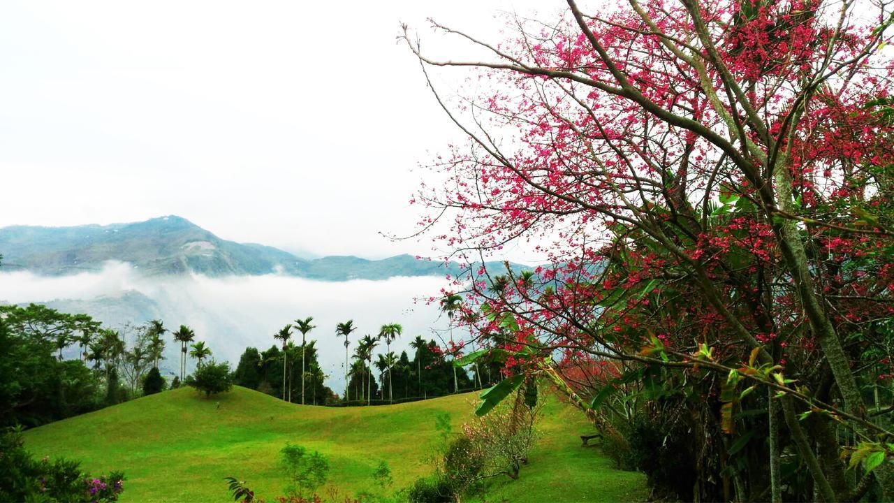 Foggy Wonderland Villa Zhushan Dış mekan fotoğraf